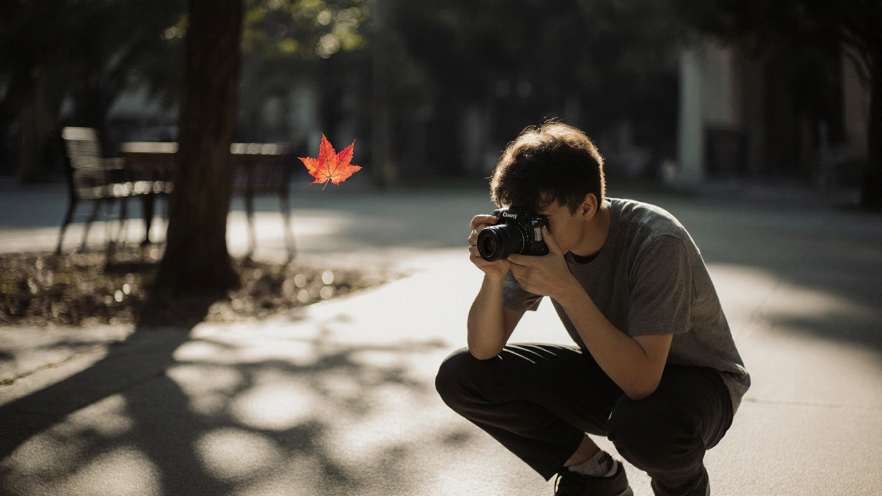 Anfänger fotografiert mit einer Kompaktkamera einen Baum mit langen Schatten auf dem Bürgersteig.